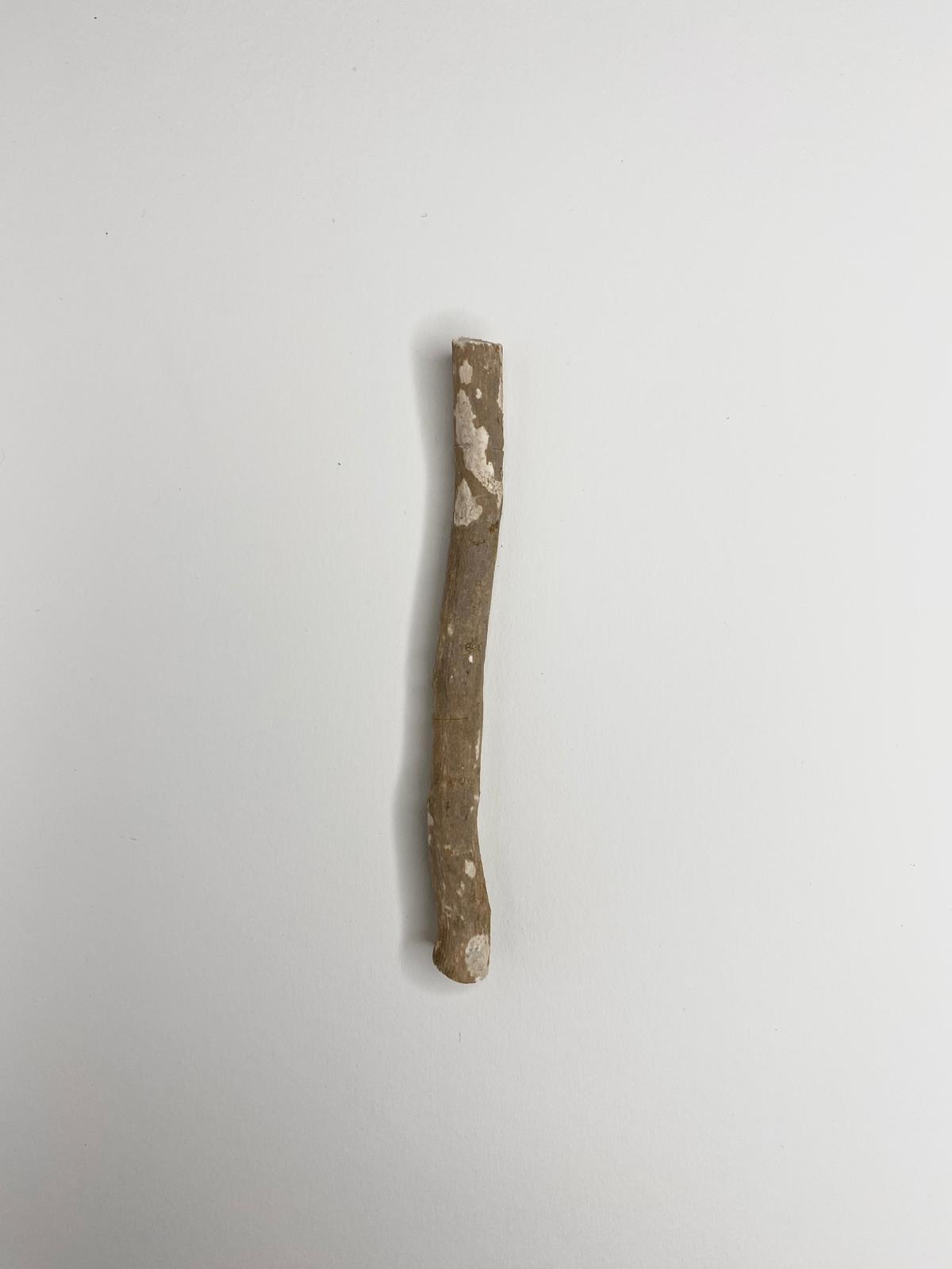 Siwak