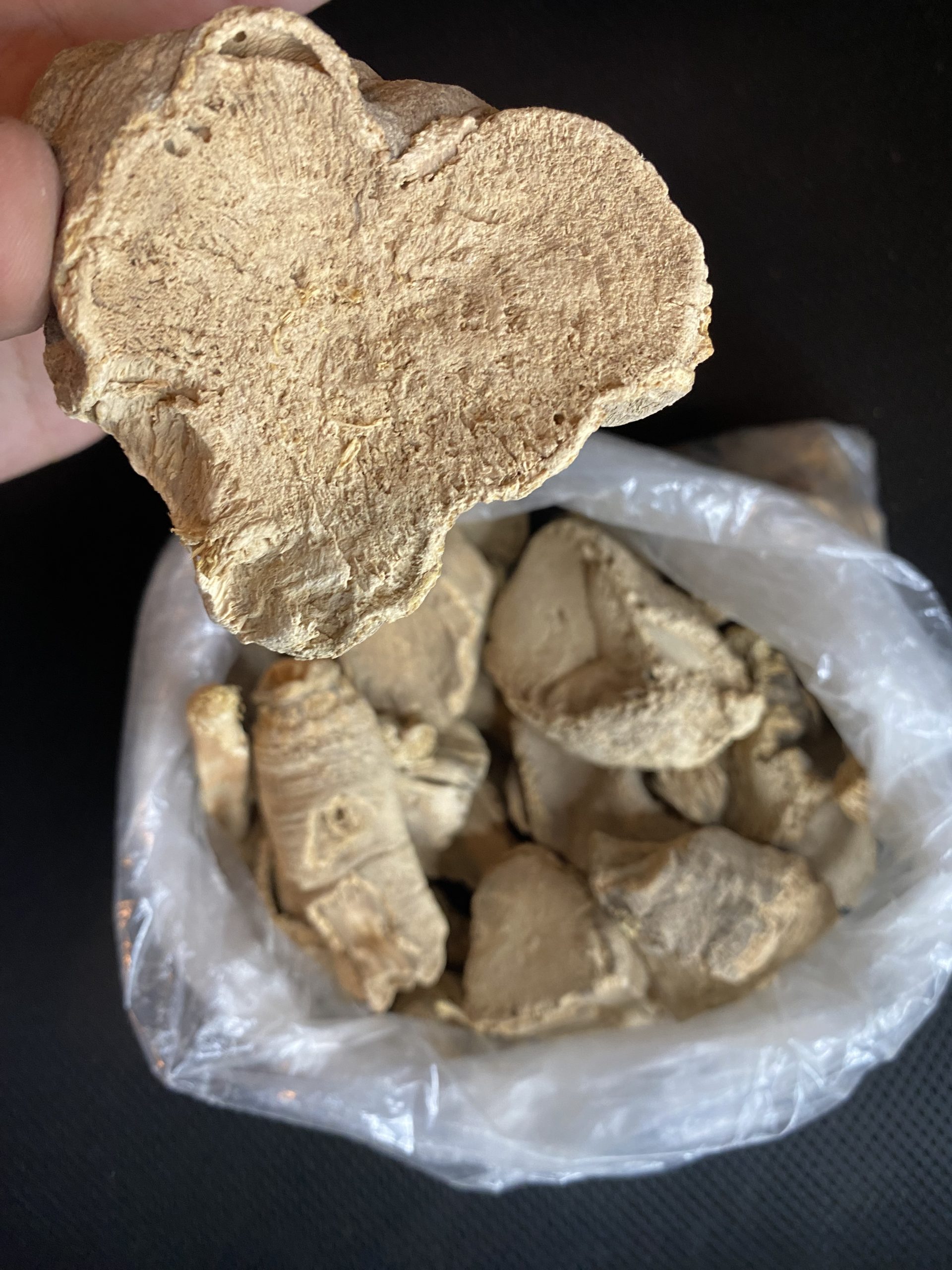 Costus Marin (Al-Qust Al-Bahri) en morceaux 100g – Image 2