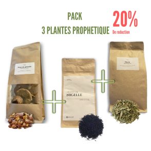 Pack 3 plantes prophétique - Myrte, Grenade & Nigelle
